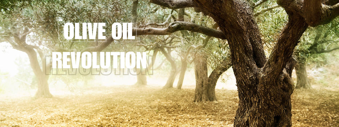 Olive Oil Revolution: How This Ancient Ingredient Is Shaping Contemporary Cuisine