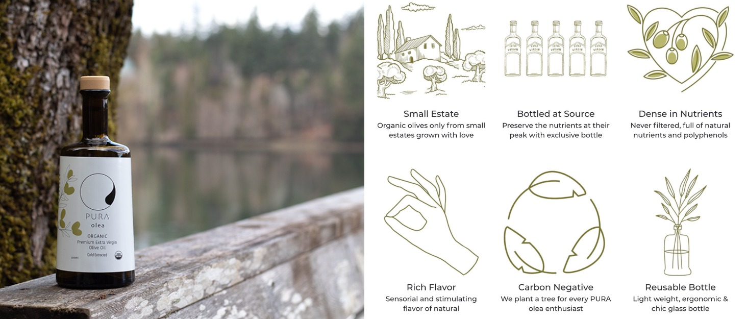 The Benefits Of Olive Oil And Choosing A Good Olive Oil Brand The Benefits Of Olive Oil And Choosing A Good Olive Oil Brand