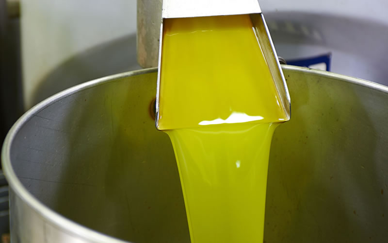 Cold Pressed Olive Oil: The Purest and Healthiest Choice for Your Kitchen